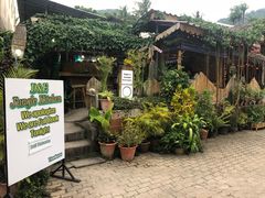 -Jungle Kitchen