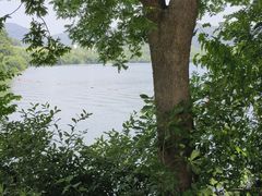 -佛手湖郊野公园