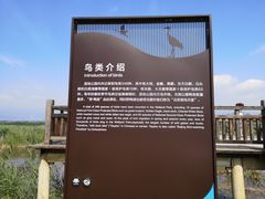 -野鸭湖国家湿地公园