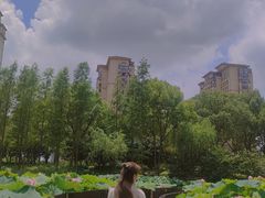 -陈家山荷花公园
