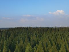 -黄海国家森林公园