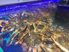 -盒马鲜生(莱蒙都会店)