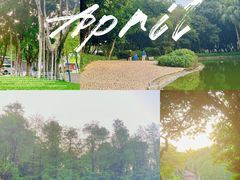 -黄埔荔枝公园