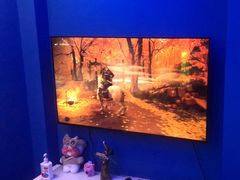 -浣熊部落ps4 ps5 switch 电玩(茶店子店)