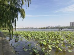 -济南大明湖景区