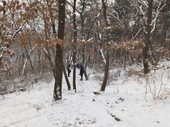 -沈阳辉山风景区
