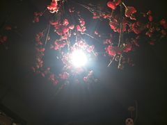 -香坝坝鲜鱼火锅(春熙路店)
