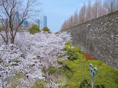 -南京城墙景区