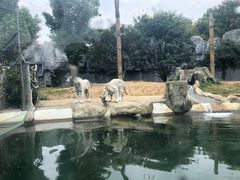 -常州淹城野生动物世界