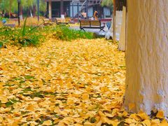 -苏州河梦清园环保主题公园