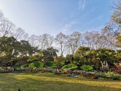 -西湖外事游船(花港观鱼码头)