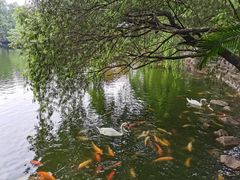 -深圳野生动物园