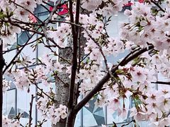 -CAMP.33露营烤肉·团建聚餐(创智天地店)