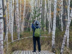 -五营红松林海景区