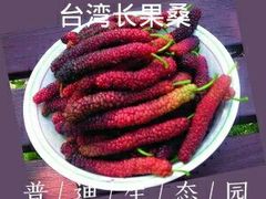 -普迪生态园