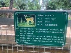 -长廊欢乐园