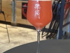 -MEDISN·药厂