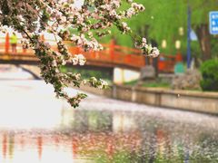 -海棠花溪(元大都城垣遗址公园)