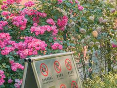 -丹东路渡口(轮渡站)