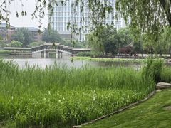 -西海子公园