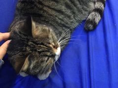 -延成苑韩式烤肉店(长春道店)