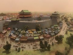 -美国自然历史博物馆