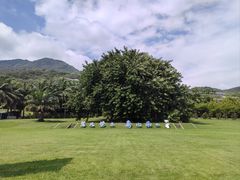 -三亚南山文化旅游区