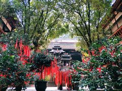 -青城山