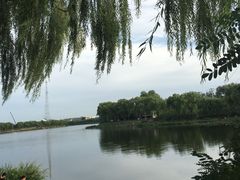 -亲兄弟真人CS团建拓展基地