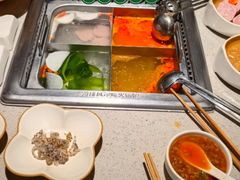 -海底捞火锅(奥体南路店)