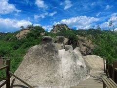 -大岭沟猕猴桃谷风景区