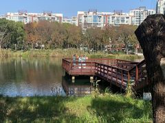 -新江湾城公园