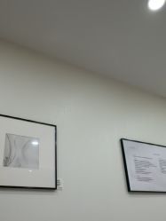 -智美品质医美