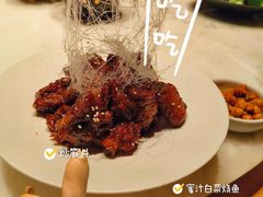 -初蓉丨遇见新川菜(亲贤街荣耀店)