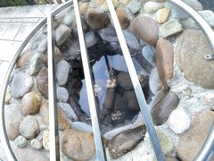 -水底山庄园温泉