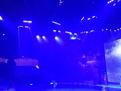 -芜湖新华联大白鲸海洋公园