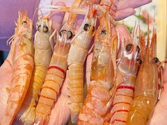 -Mr.Fish鱼鲜生海鲜放题(高德置地冬广场店)