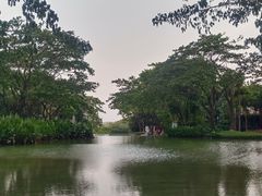 -瑰丽酒店·海吧·天际下午茶·现场DJ·天台酒吧
