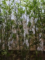 -盘子女人坊古装写真摄影(天津总店)