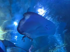 -太平洋海底世界