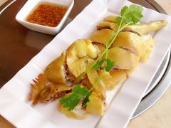 白切文昌鸡-墨脱石锅椰子鸡•香草鸭•东山羊(大东海店)