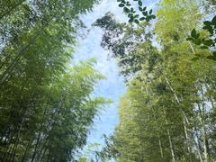 -科学家咖啡(恒隆广场店)