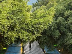 -森波拉火山温泉