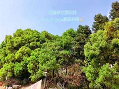 -西湖公园(鼓楼区)