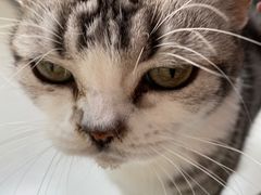 -关爱动物医院·心脏·中兽医·异宠(金牛路分院)