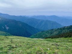 -秦岭风景区