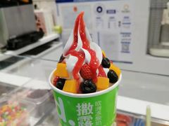 -Salud撒露欧洲冻酸奶(五道口购物中心店)