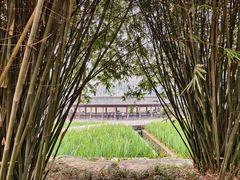 -龙头寺公园