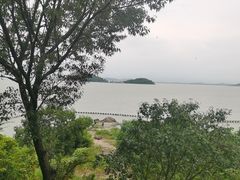 -上海市保健医疗中心