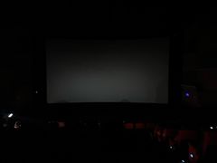 -金逸影城(武汉人信汇IMAX店)